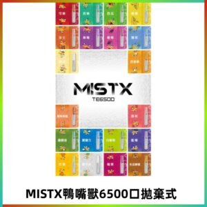 MIST X 鴨嘴獸6500口拋棄式電子煙#台灣現貨#